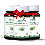Saw Palmetto