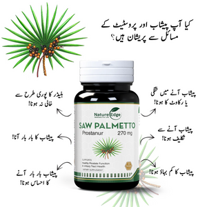 Saw Palmetto