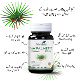 Saw Palmetto